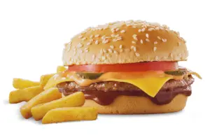 Steers Menu and Prices In South Africa 16 Cheese