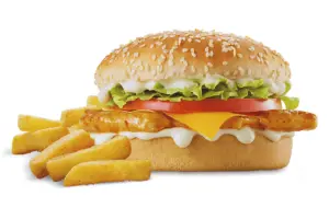 Steers Menu and Prices In South Africa 17 Chicken Cheese