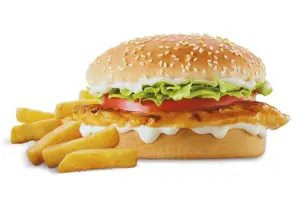 Steers Menu and Prices In South Africa 21 Chicken